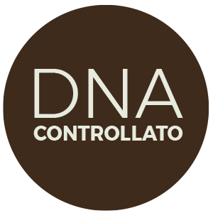 logo-DNA-controllato logo-DNA-controllato
